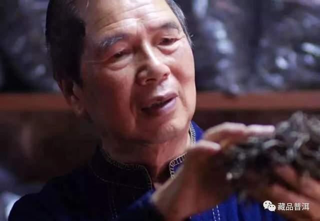 大益普洱茶商标演变史:从1989年创立到现代版本的完整发展历程 大益普洱茶商标演变史:从1989年创立到现代版本的完整发展历程