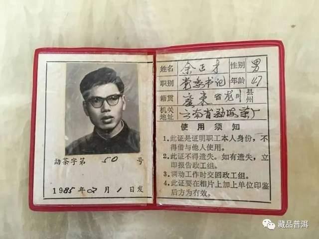 大益普洱茶商标演变史:从1989年创立到现代版本的完整发展历程 大益普洱茶商标演变史:从1989年创立到现代版本的完整发展历程