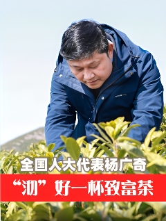 全国人大代表广德市新杭镇金鸡笼村党总支书记杨广奇：“沏”好一杯致富茶