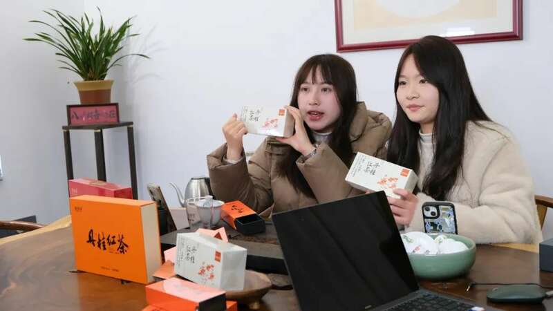 互联网+丹桂+茶业 探索乡村振兴新赛道