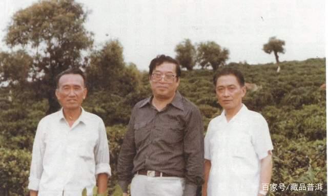 8592紫天熟饼传奇诞生史,香港南天贸易定制经典熟茶 8592紫天熟饼传奇诞生史,香港南天贸易定制经典熟茶