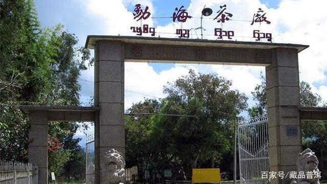 8592紫天熟饼传奇诞生史,香港南天贸易定制经典熟茶 8592紫天熟饼传奇诞生史,香港南天贸易定制经典熟茶