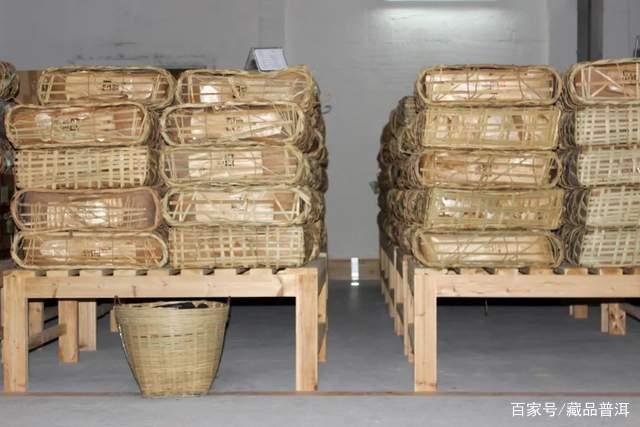 多老才算古树茶？古树茶好在哪？这条认知误区，戳穿古树茶的谎言