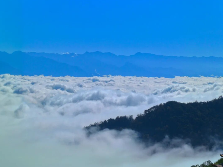 在白莺山，与茶香云海共赴一场冬日约会
