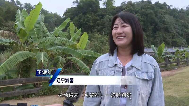 五指山水满乡：守护生态“国宝” ，走好“茶 + 文旅”发展新路径