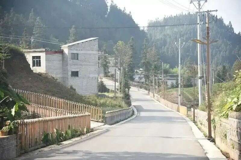 贵州晴隆新庄村：万亩茶飘香