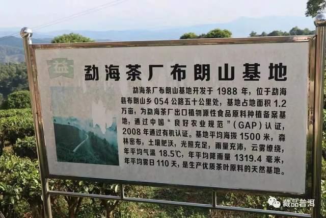 班章大白菜系列，为什么06年以后不再生产？详解601班章有机青饼