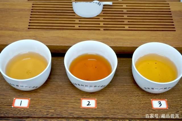 普洱茶如何快速入门?这份专业入门指南请收藏,第4点容易被忽略 普洱茶如何快速入门?这份专业入门指南请收藏,第4点容易被忽略