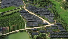 板下种茶,板上发电,“茶光互补”助推大别山腹地乡村振兴 板下种茶,板上发电,“茶光互补”助推大别山腹地乡村振兴