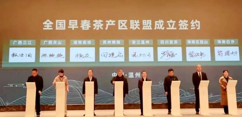 谁能抢占“鲜”机？2025年春茶消费三大新趋势