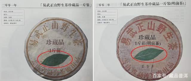 2002年易武正山一片叶品鉴，品质对得起价格，以后只会更贵