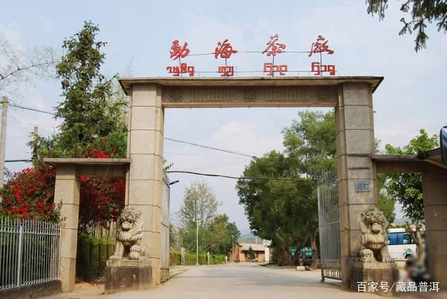 烟香普洱茶，芳村市场上的潮流前线，烟香从何而来？