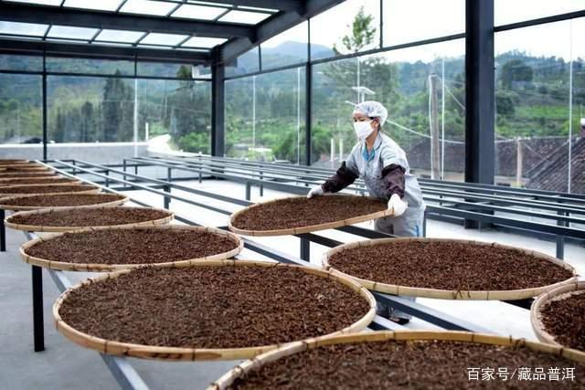 普洱茶中期茶选购指南：10-20年陈化价值解析
