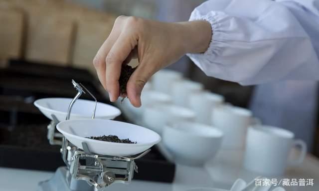 普洱茶拼配工艺解析:拼配与纯料的优劣对比分析 普洱茶拼配工艺解析:拼配与纯料的优劣对比分析