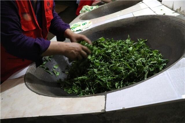 制茶界独孤求败：茶农自认工艺天下第一，但茶商已改用机器炒茶！