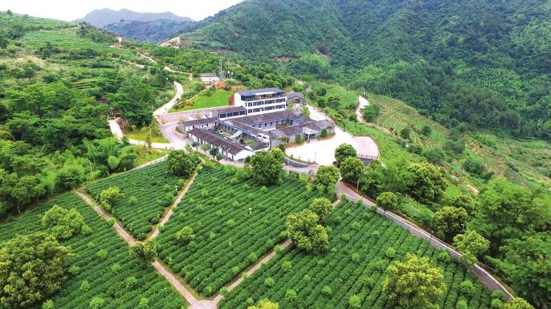 福建省安溪县：科技创新 助推茶产业高质量发展