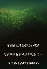 传奇续新章 兴海布朗高山老寨孔雀青砖