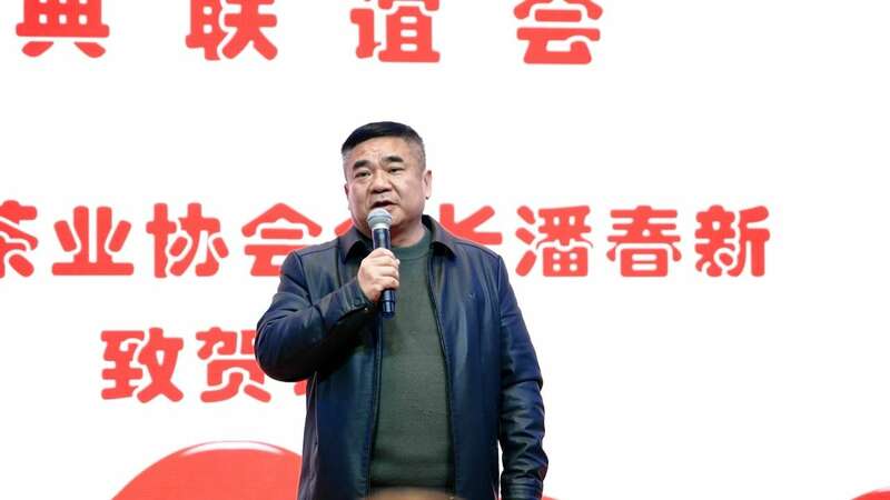 茶韵飘香，薪火相传！这场庆典推动常德茶产业高质量发展