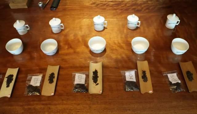 普洱茶试茶方法详解，教你快速判断茶叶陈化潜力