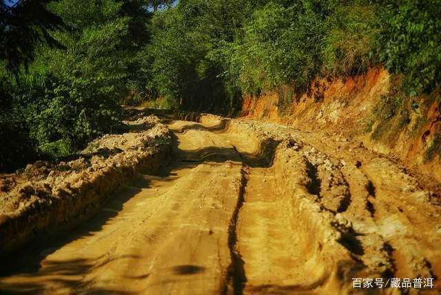 老班章普洱茶价格多少一饼?揭秘普洱茶王者成名之路 老班章普洱茶价格多少一饼?揭秘普洱茶王者成名之路