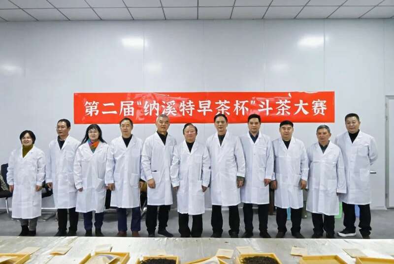 第二届“纳溪特早茶杯” 斗茶大赛：茶香四溢，共鉴匠心