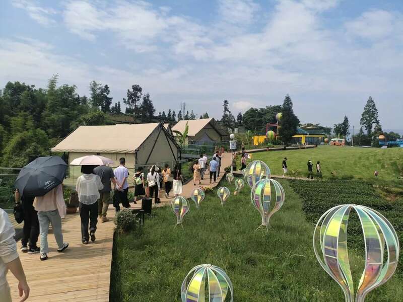 雨城区合江村：春茶采摘拉开帷幕 万亩茶园即将喜迎丰收