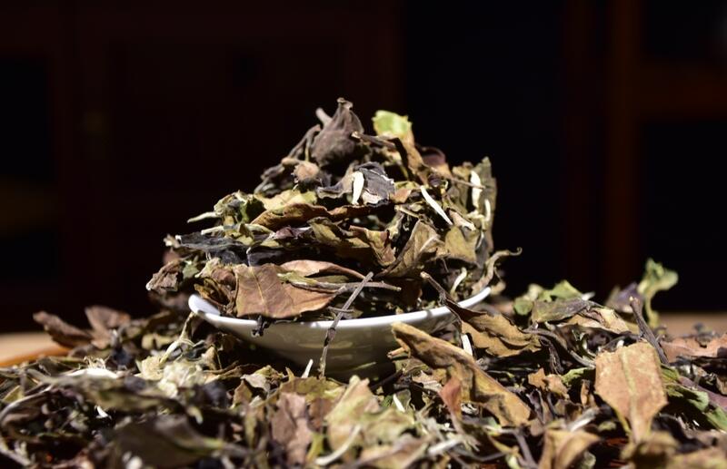 2024年滑竹梁子大树白茶