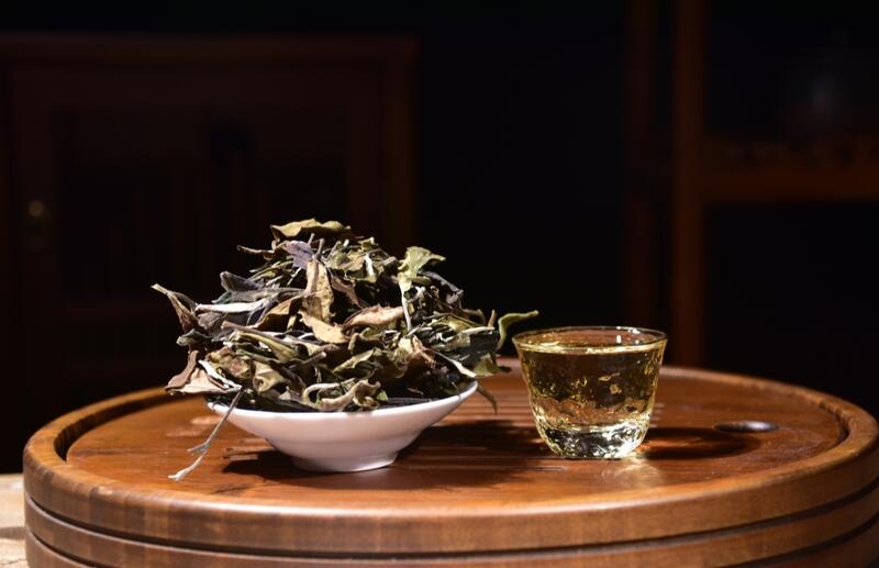 2024年滑竹梁子大树白茶