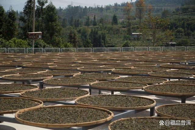 如何挑选适合存放10年以上的普洱茶 如何挑选适合存放10年以上的普洱茶