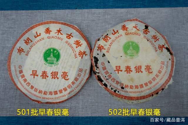 八角亭2005年早春银毫501批品鉴 两款批次区别及价值分析