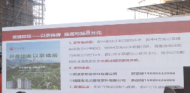 以茶换房再入市，2025再掀茶叶热？