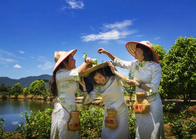 福州茉莉花茶：列作人间第一香