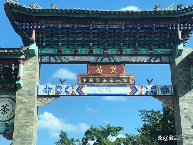 普洱茶价格揭秘：100元与1000元一片的差距在哪里