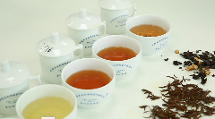 一文把新茶饮基底茶拼配技术说明白