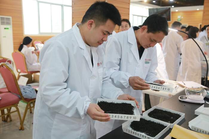 一文把新茶饮基底茶拼配技术说明白