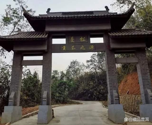 曼松茶:普洱茶界新贵,有钱都买不到的茶中珍品! 曼松茶:普洱茶界新贵,有钱都买不到的茶中珍品!