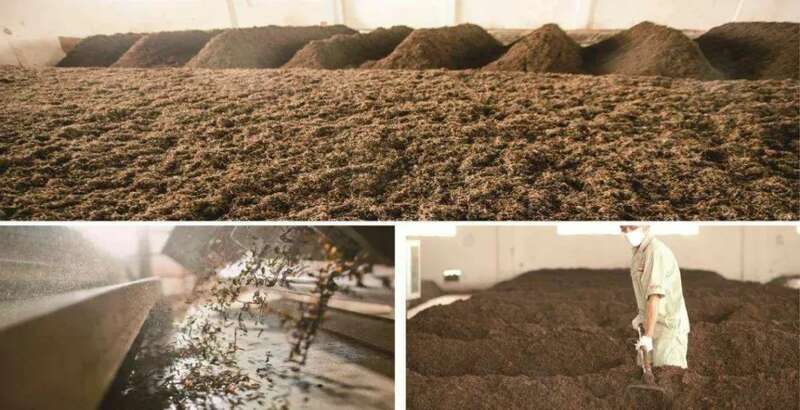 院士团队说2024年茶叶加工理论与技术研究进展(二) 院士团队说2024年茶叶加工理论与技术研究进展(二)