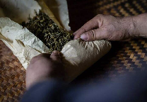 院士团队说2024年茶叶加工理论与技术研究进展(二) 院士团队说2024年茶叶加工理论与技术研究进展(二)