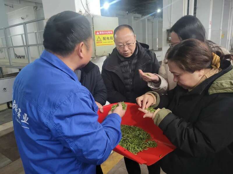  蒲丹惠赴名山区调研春茶生产和春耕备耕情况