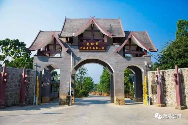 2000年班章特二号熟饼,大白菜熟茶之巅,国营勐海茶厂标杆熟茶! 2000年班章特二号熟饼,大白菜熟茶之巅,国营勐海茶厂标杆熟茶!