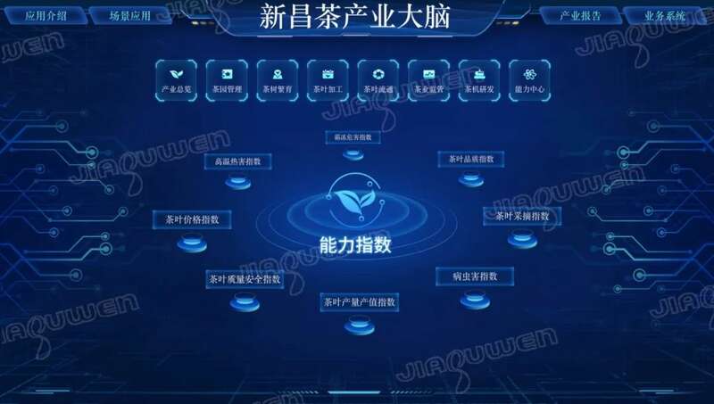 聚焦2025年早春茶开采：新局酝新机，多重驱动下的产业变革