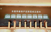 2025早春茶大会召开 全国早春茶产区联盟成立
