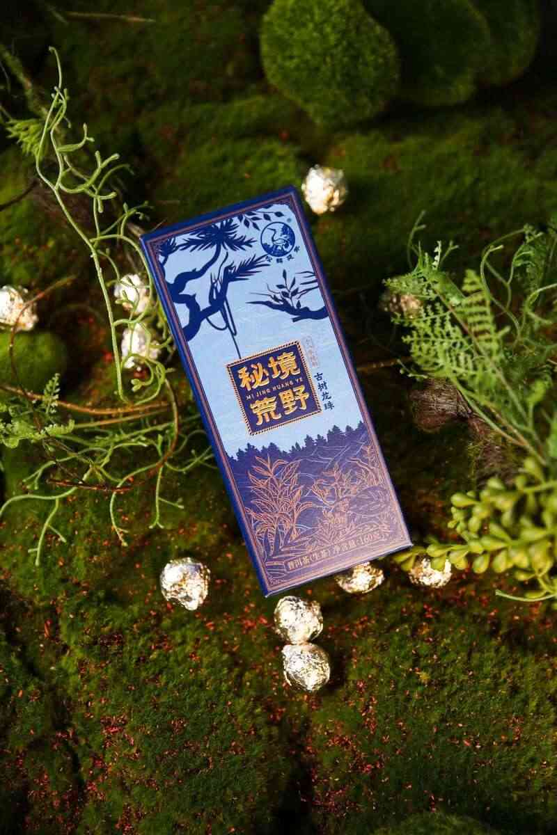 下关2025 秘境荒野 喝18年陈野生古树茶，享山水之乐