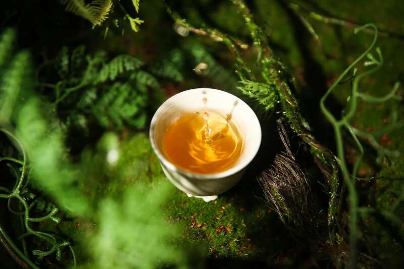 下关2025 秘境荒野 喝18年陈野生古树茶，享山水之乐