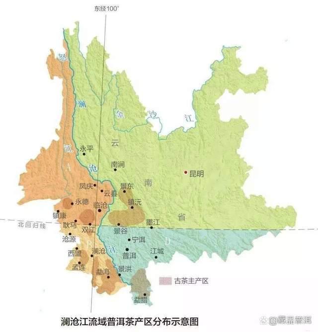 普洱茶的独特价值与选购标准，了解产地工艺储存要点