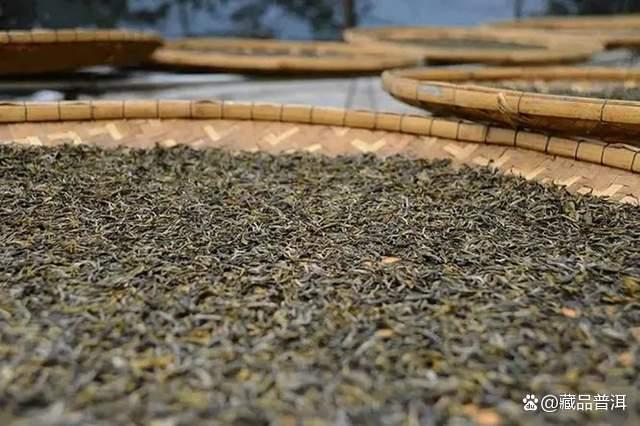 普洱茶的独特价值与选购标准，了解产地工艺储存要点