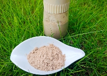 茶盐制备工艺探索及风味分析