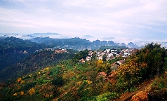 以“大佛龙井”品牌为背书 创建“云上茶乡，灵秀东茗”的乡村发展生境