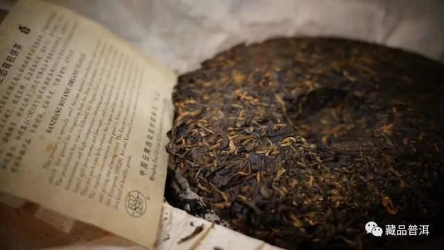 四五六星孔雀班章如何鉴别？详解8个辨识特征，走近神秘孔雀茶王