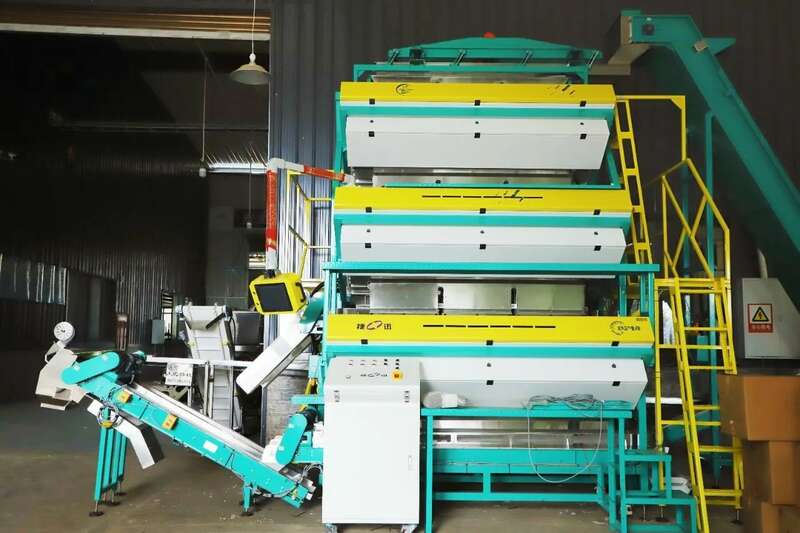 夹江第一茬春茶抢“鲜”开采! 夹江第一茬春茶抢“鲜”开采!